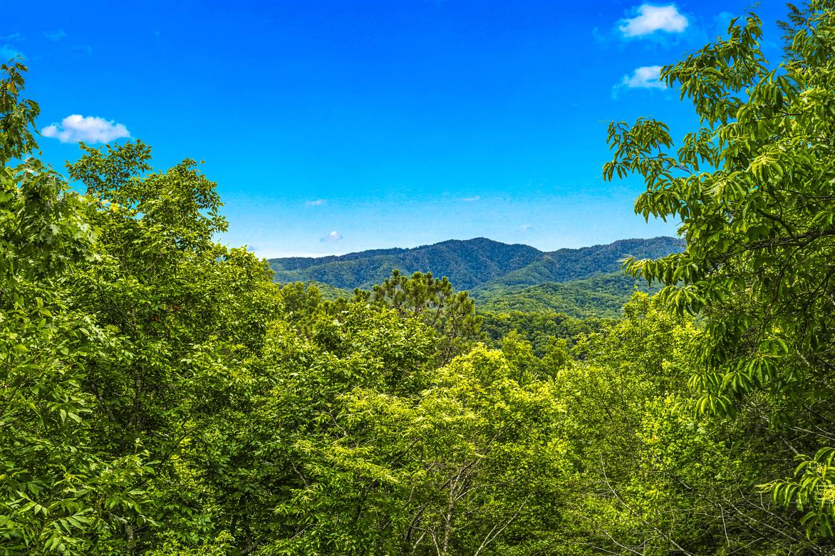 Alexander's Lookout