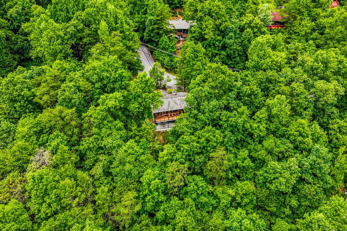 Alexander's Lookout