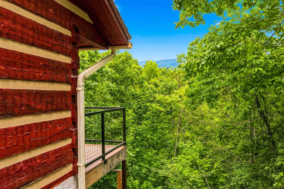 Alexander's Lookout