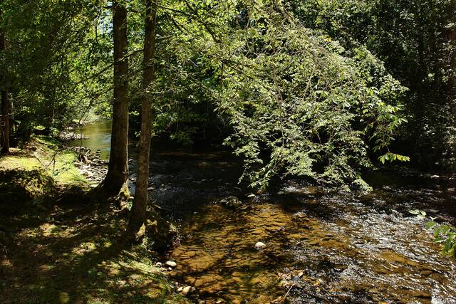 Taken at Rippling Waters on Cosby Creek in Gatlinburg TN