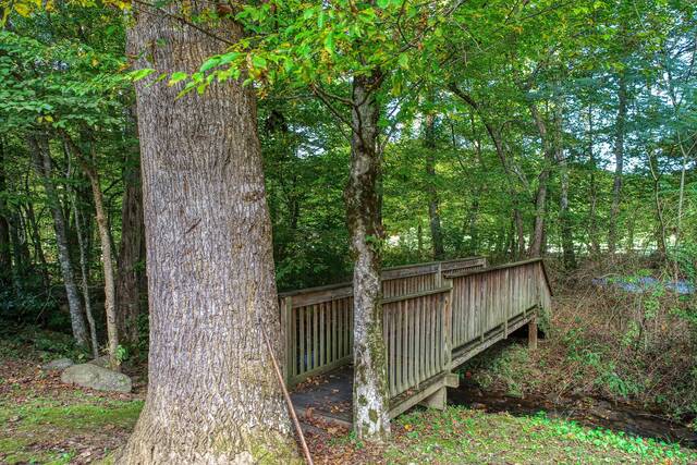 Taken at Home Sweet Home on Cosby Creek in Land of Promise TN