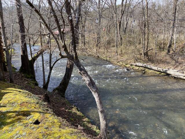 Taken at Gray's Place on Cosby Creek in Cosby TN