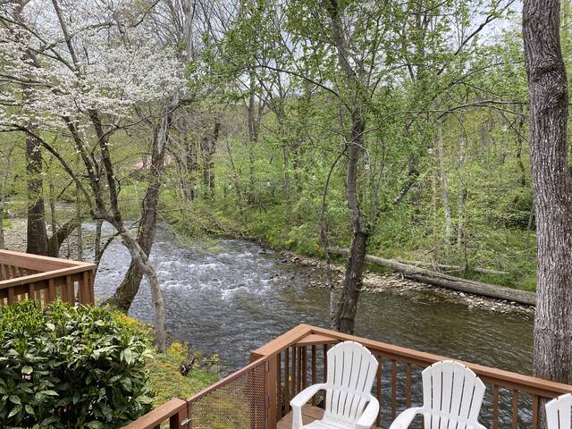 Taken at Gray's Place on Cosby Creek in Cosby TN