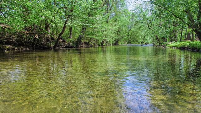 Taken at Take Me Fishing on Cosby Creek in Cove Hollow TN