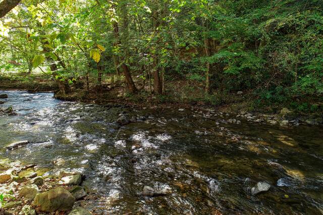 Taken at Wandering Creek in Cosby TN