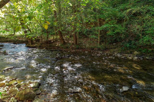 Taken at Whispering Creek in Cosby TN