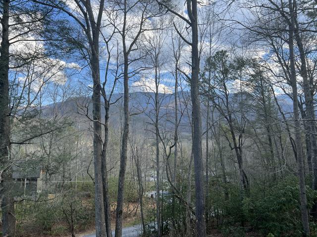 Taken at Cosby Mountain Lodge in Gatlinburg TN