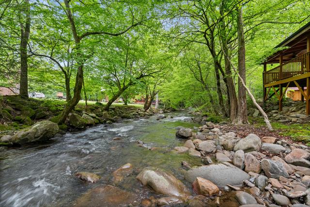 Taken at Elk Rapids on Cosby Creek in Cosby TN