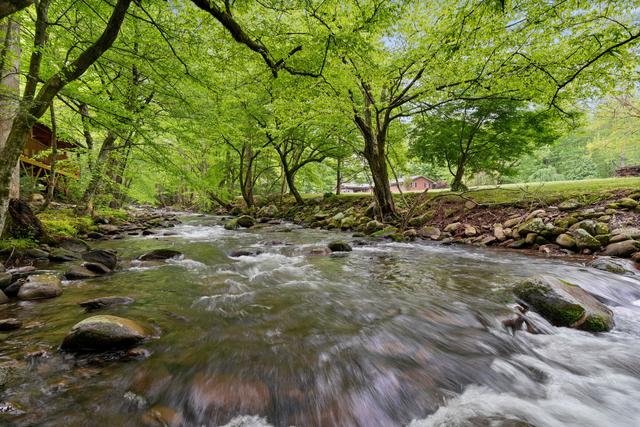 Taken at Elk Rapids on Cosby Creek in Cosby TN