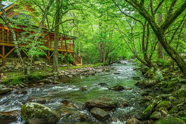 Taken at Elk Rapids on Cosby Creek in Cosby TN