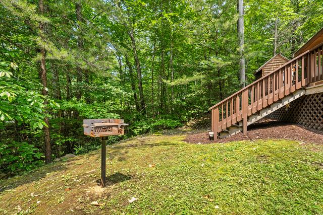Taken at Mountain Laurel in Cosby TN