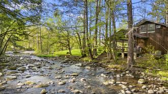 Crockett's Coonskin Cabin #540 in Gatlinburg TN