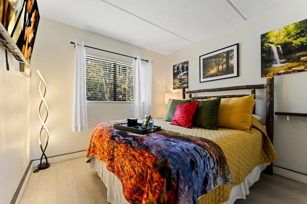 Colors of the Smokies