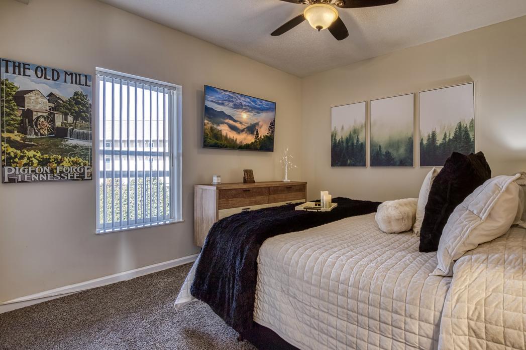 Peaceful in the Pines