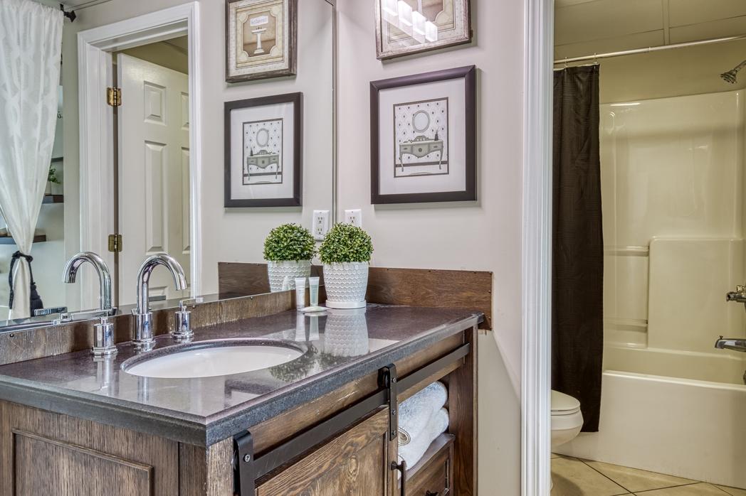 Peaceful in the Pines