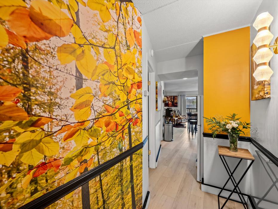 Colors of the Smokies