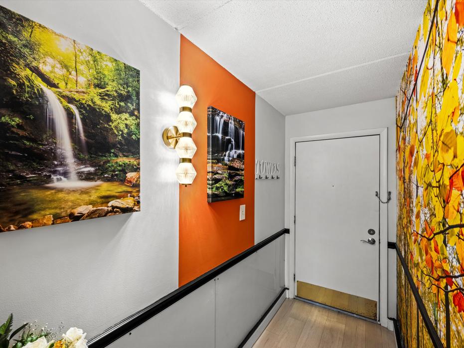 Colors of the Smokies