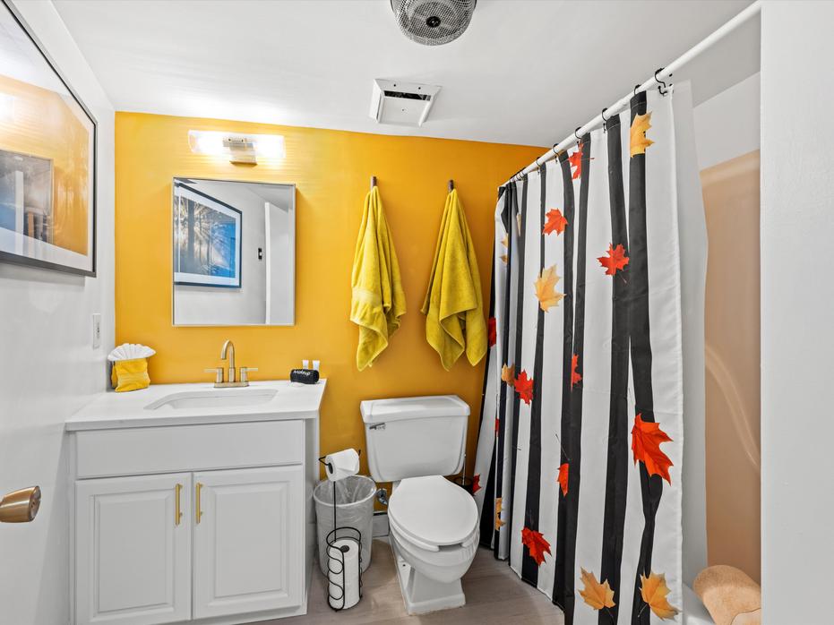 Colors of the Smokies