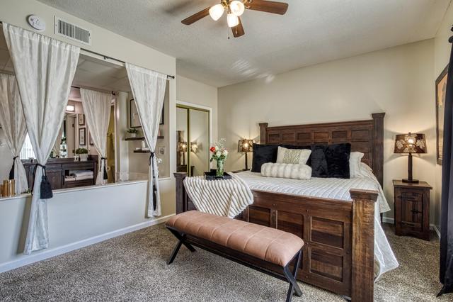 Peaceful in the Pines