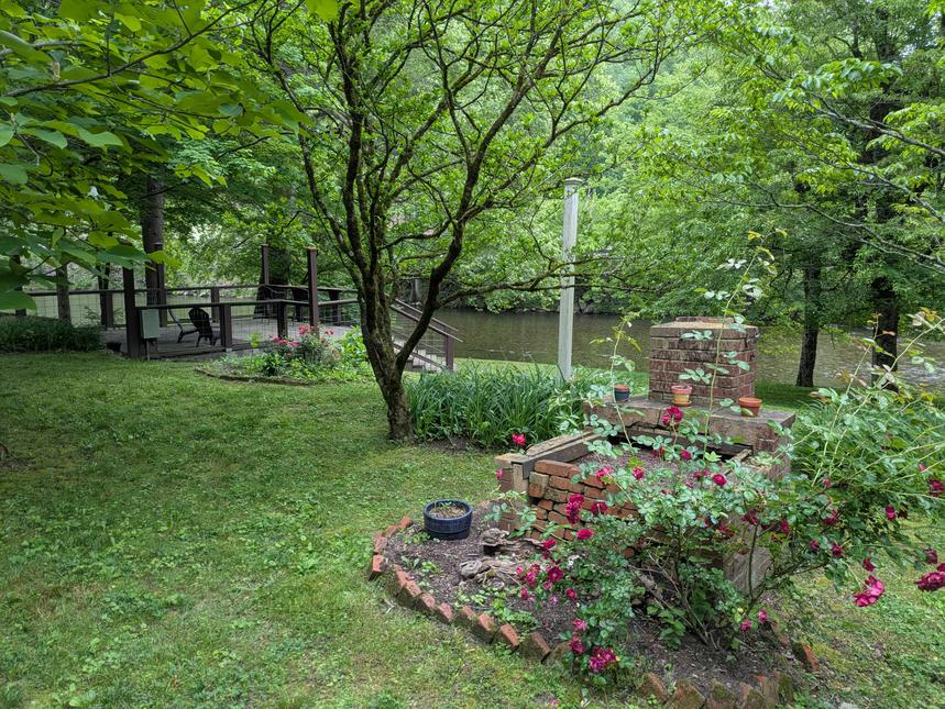 Cove Cabin