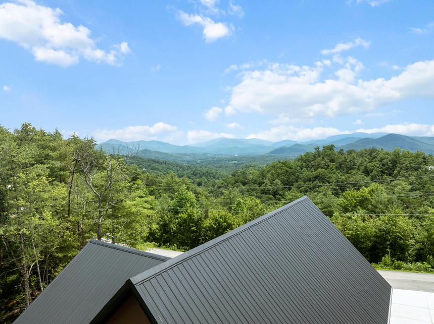 Above the Pines