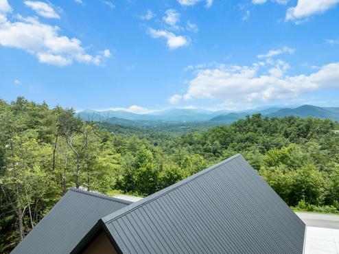 Above the Pines