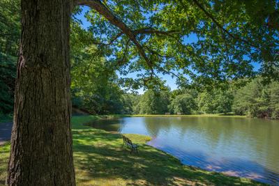 Rustic View