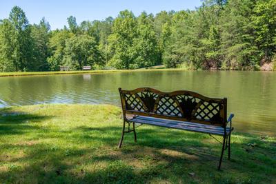 Rustic View