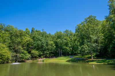 Rustic View