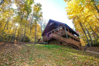 Bearfoots Cozy Cabin