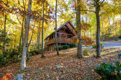 Bearfoots Cozy Cabin