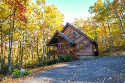 Bearfoots Cozy Cabin