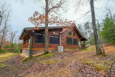 Bear Valley Cabin