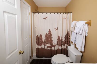 Pigeon River Retreat bathroom one with tub/shower combo