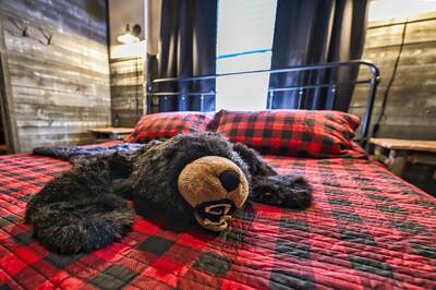 The Playful Bear king size bed with bear decor