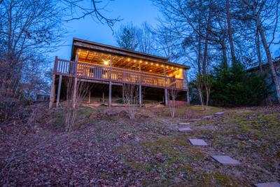 Mountain Magic back yard at night