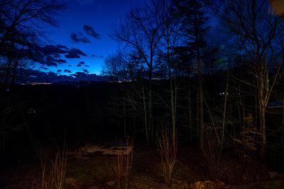 Mountain Magic twinkling lights in trees at night