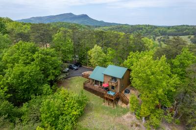 Moose Haven Cabin - Arial View