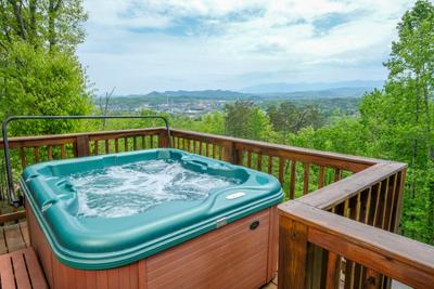 Moose Haven Cabin - Hot tub with a view