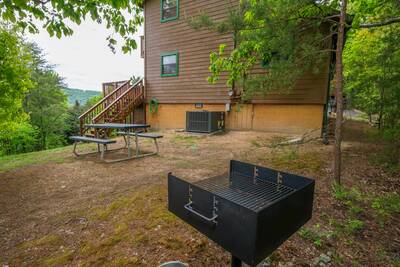 Moose Haven Cabin - Backyard with picnic table and park grill