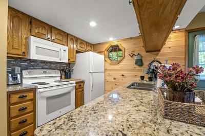 Forest Hollow bar top and kitchen