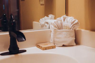 Forest Hollow bathroom sink