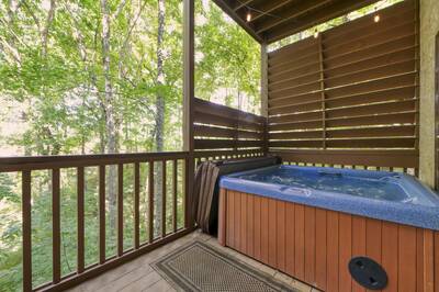 Forest Hollow hot tub 