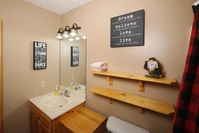 Bearadise lower level bathroom