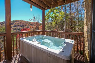 Bearadise hot tub with a mountain view