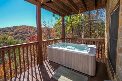 Bearadise back deck with hot tub