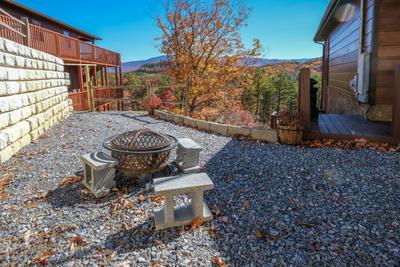 Bearadise fire pit