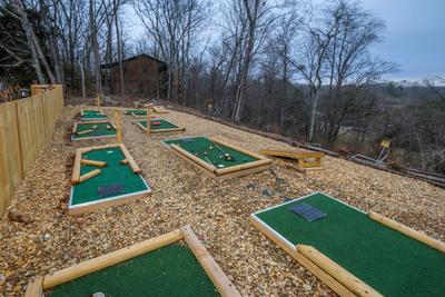 Margaritas at Sunrise - Back yard with 8 hole putt putt course