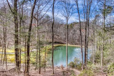 Water's Edge view of community's fully stocked catch and release fishing pond