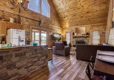 Baby Bear Cabin - Dining area and living room